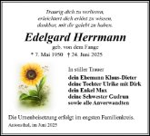 eine Anzeige